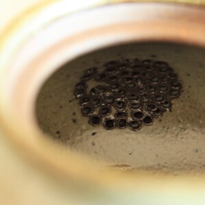 May include: Close-up of the inside of a ceramic pot with a brown, circular, perforated design. The pot has a light brown glaze.