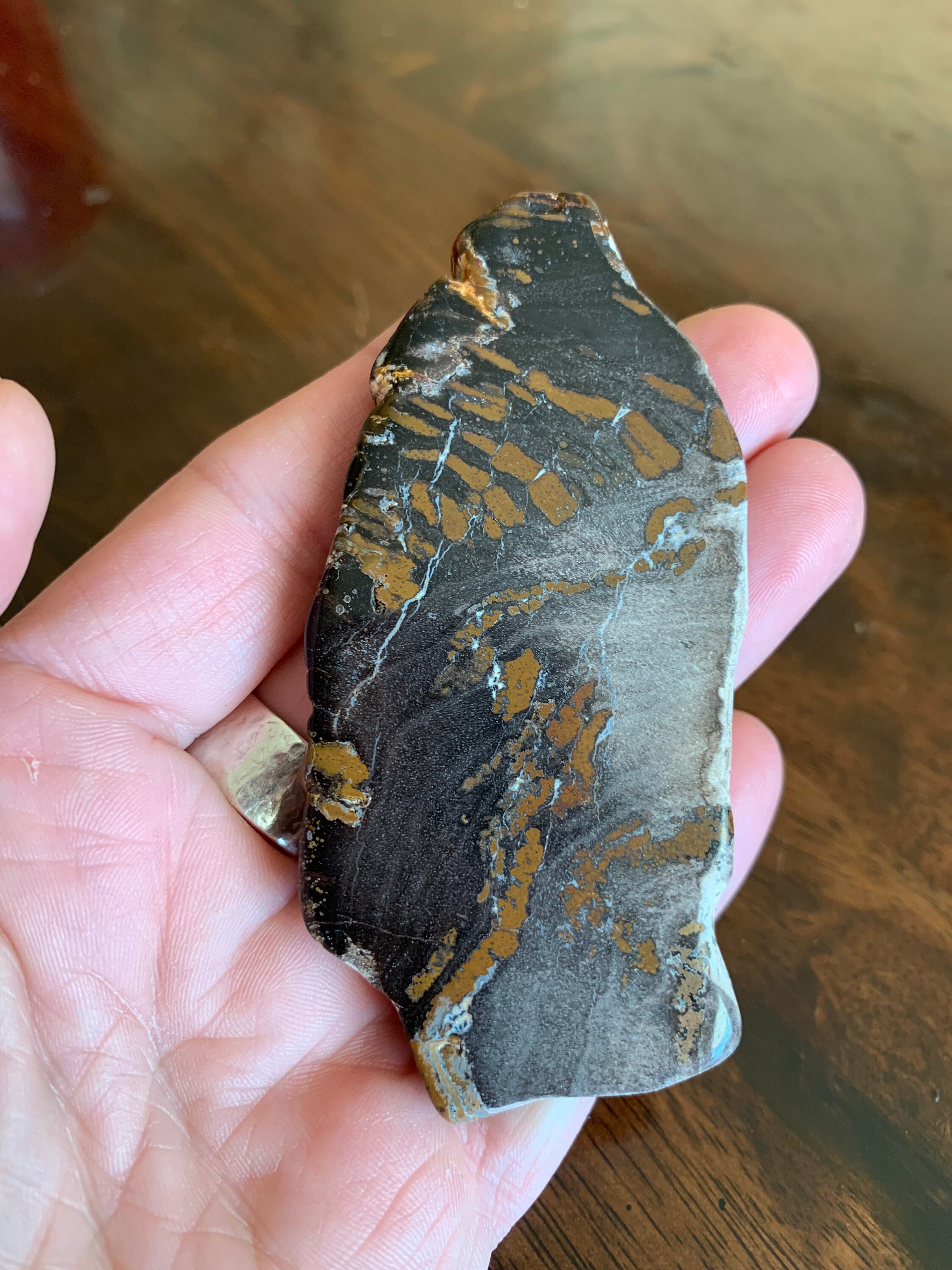 Polished Petrified Wood Slab Large Brown Black Quartz Etsy UK