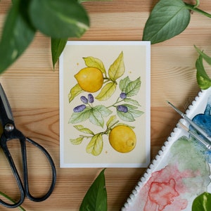 Set of 3 Watercolour Postcards Lemons Mulberries, Oranges Raspberries and Pomegranates Blueberries image 7