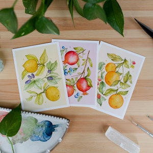 Juego de 3 postales de acuarela • Limones + Moras, Naranjas + Frambuesas y Granadas + Arándanos