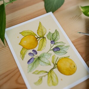 Set of 3 Watercolour Postcards Lemons Mulberries, Oranges Raspberries and Pomegranates Blueberries image 8