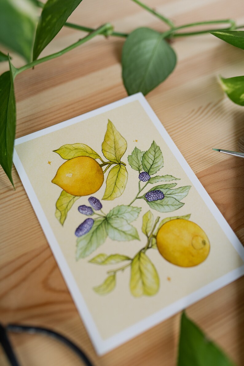 Set of 3 Watercolour Postcards Lemons Mulberries, Oranges Raspberries and Pomegranates Blueberries image 8