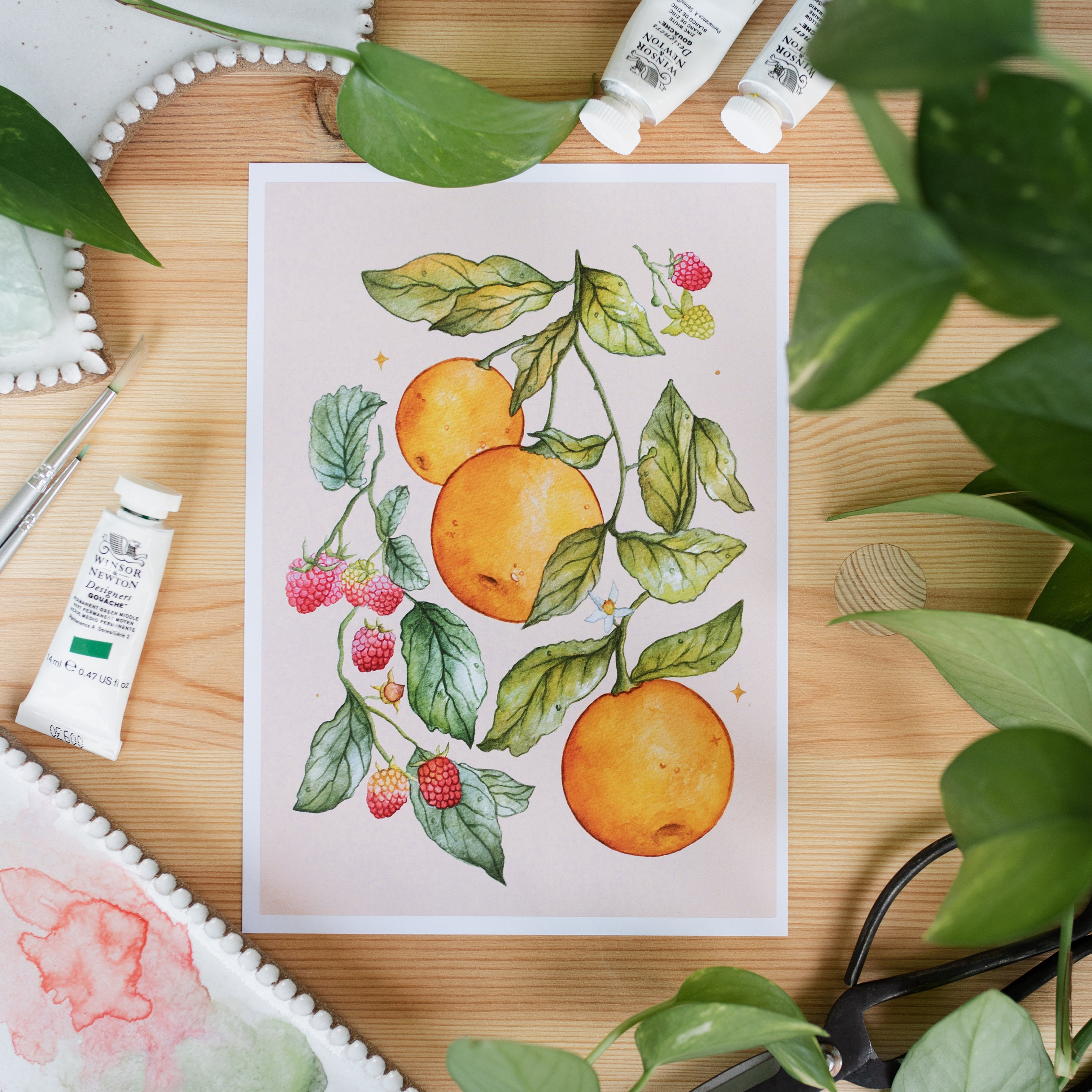 Watercolour Print • Oranges + Raspberries A4  or A5  •  Orange Background