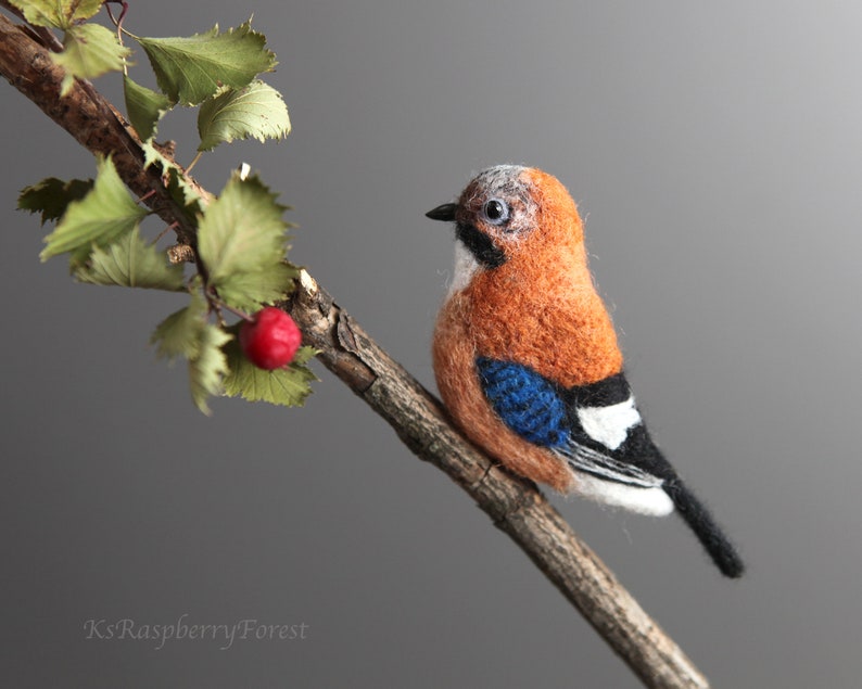 Felted Jay bird brooch  Needle felted Bird Brooch Jay image 0