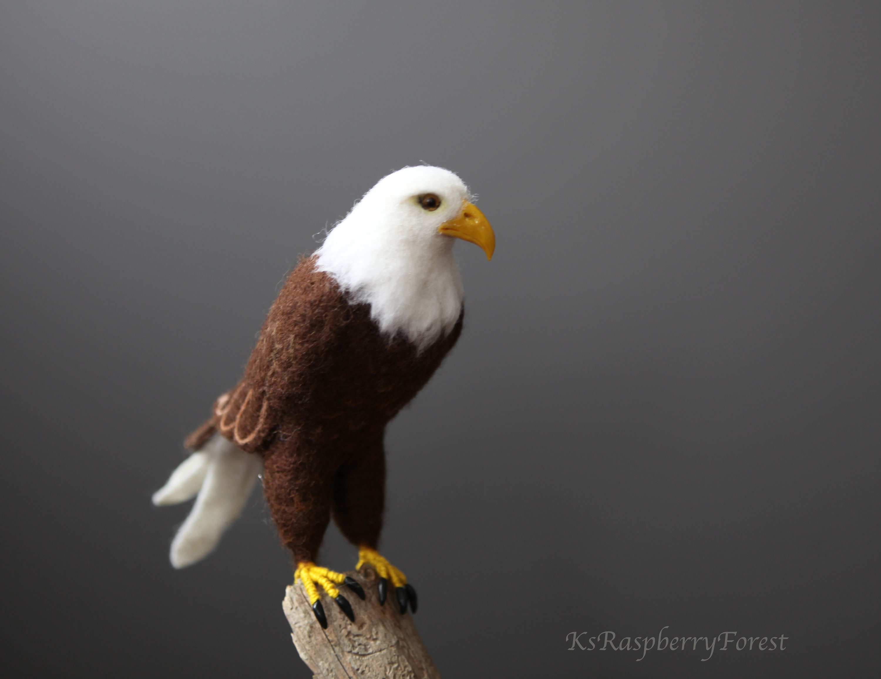 Felted Bald Eagle bird Needle felted Bird Haliaeetus Etsy