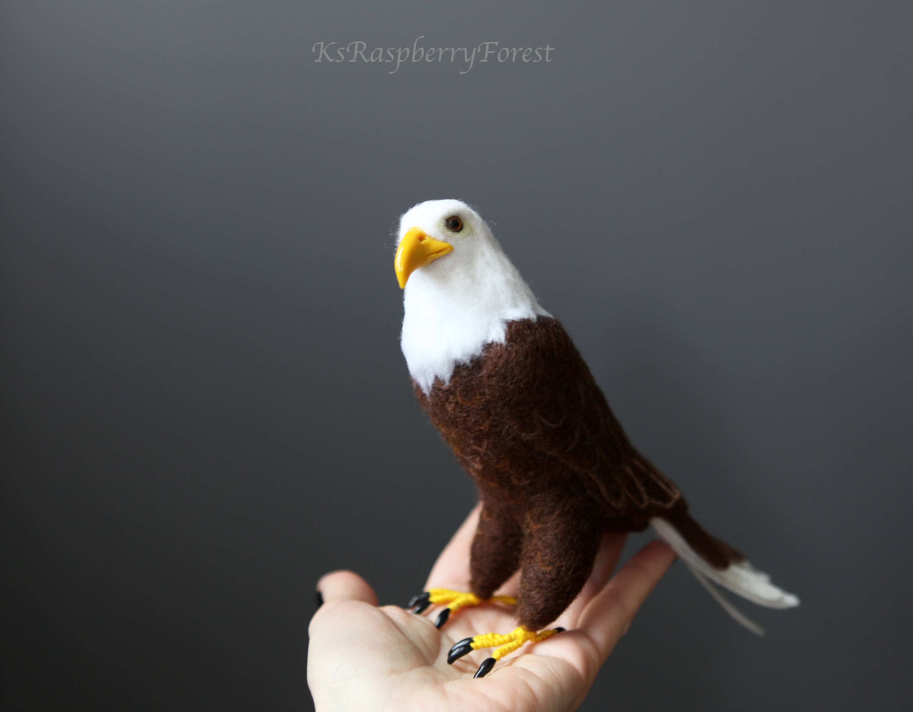 Felted Bald Eagle bird Needle felted Bird Haliaeetus Etsy