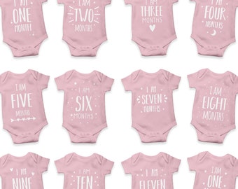 Pink Monthly Milestone-romper voor baby: fotorekwisiet voor pasgeborenen