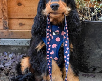 Dainty Dots Dog Lead: Navy with Pink Spots