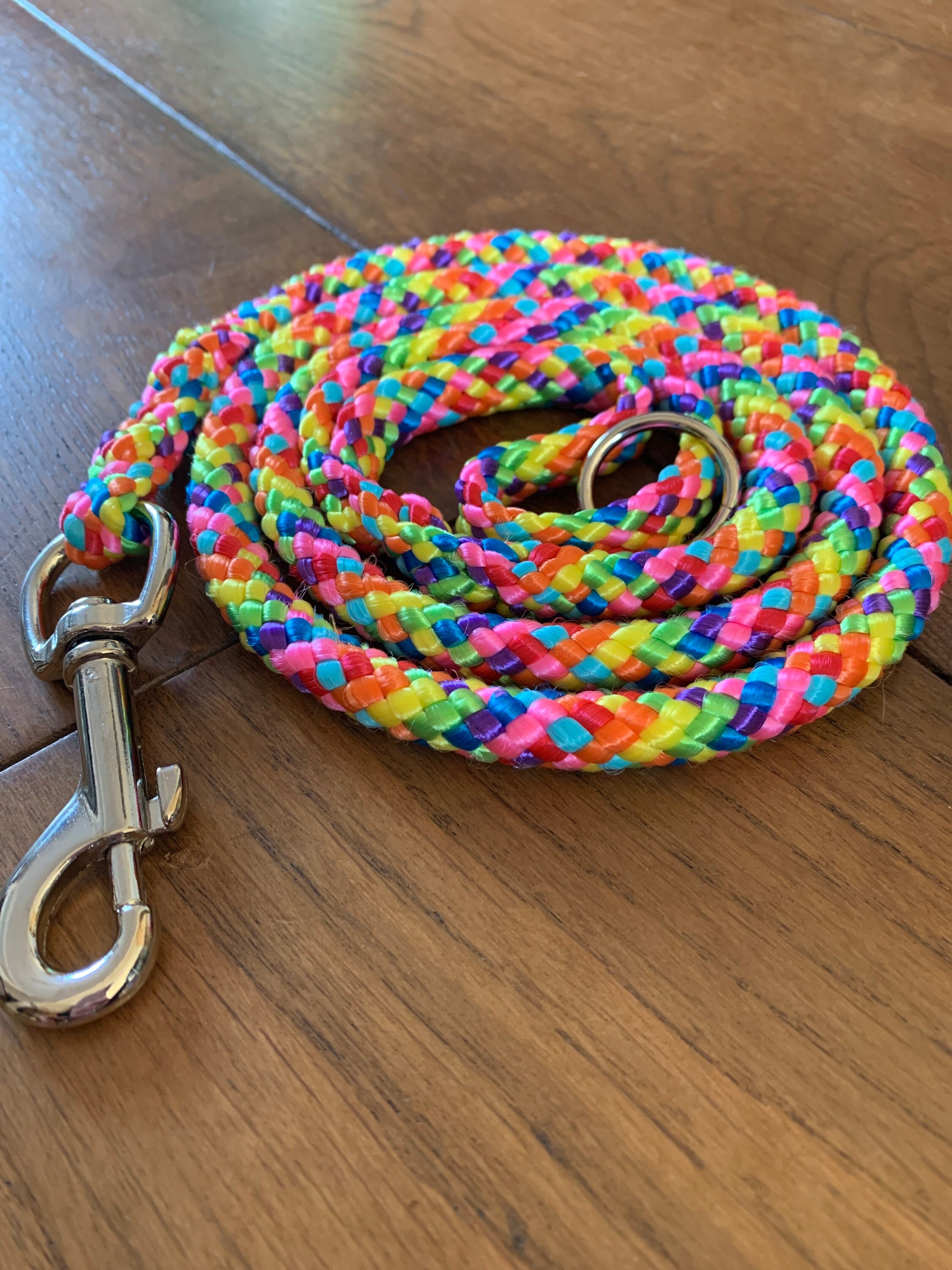 Rainbow dog leash Clearance