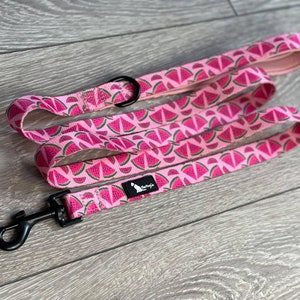 May include: A pink dog lead featuring a repeating watermelon slice design. The lead has a black metal clasp and a matching handle. The lead is made of a durable material, designed for pet owners.