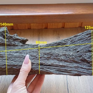 Puede incluir: Un trozo de madera flotante gris-marrón desgastada con vetas y textura visibles. Las medidas se indican con líneas amarillas: 140 mm, 98 mm, 125 mm y 392 mm. La madera es sostenida por una mano con esmalte de uñas rosa claro.