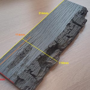 The edge of bog oak 2840 years. 19*62-110*314