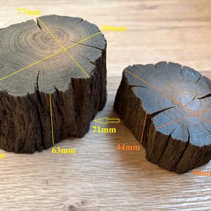May include: Two dark brown, cylindrical wood log slices with visible tree rings and bark texture. The larger piece measures 77mm by 80mm in diameter and 63mm in height. The smaller piece measures 57mm by 81mm in diameter and 44mm in height.