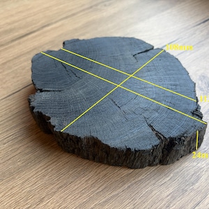 Fette di quercia palustre, blocchi di legno di morta 2840 anni, 190 g