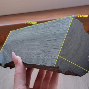 1 Piece Bog Oak Wood (Aquarium or craft ) 21,94oz (622 gr) 2840 years