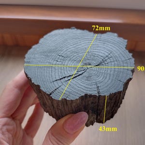 Bog oak slices, morta wood blanks 2840 years, 186g