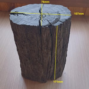 1 Piece Bog Oak Wood (Aquarium or craft ) 32,16oz (912 gr) 2840 years