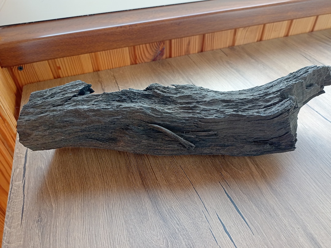 1 Piece Bog Oak Wood aquarium or Craft 53,47oz 1516 Gr 1270 Years Etsy