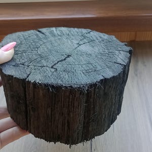 1 Piece Bog Oak Wood (Aquarium or craft ) 45,67oz (1295 gr) 3720 years