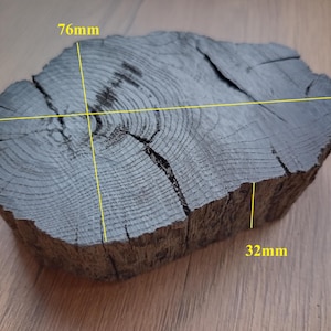 Bog oak slices, morta wood blanks 2840 years, 180g