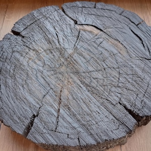 A large piece of bog oak 46 - 57mm * 350mm * 355mm