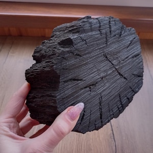 Bog oak slices, morta wood blanks 3720 years, 933g