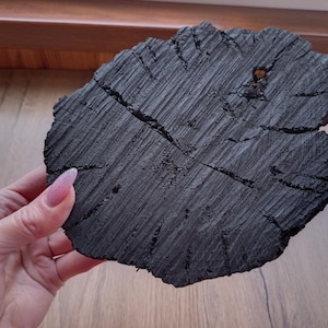 Bog oak slices, morta wood blanks 3720 years, 703g