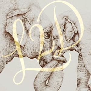 Mother And Baby Elephant Art Print | Original Biro Drawing | Wildlife Wall Art