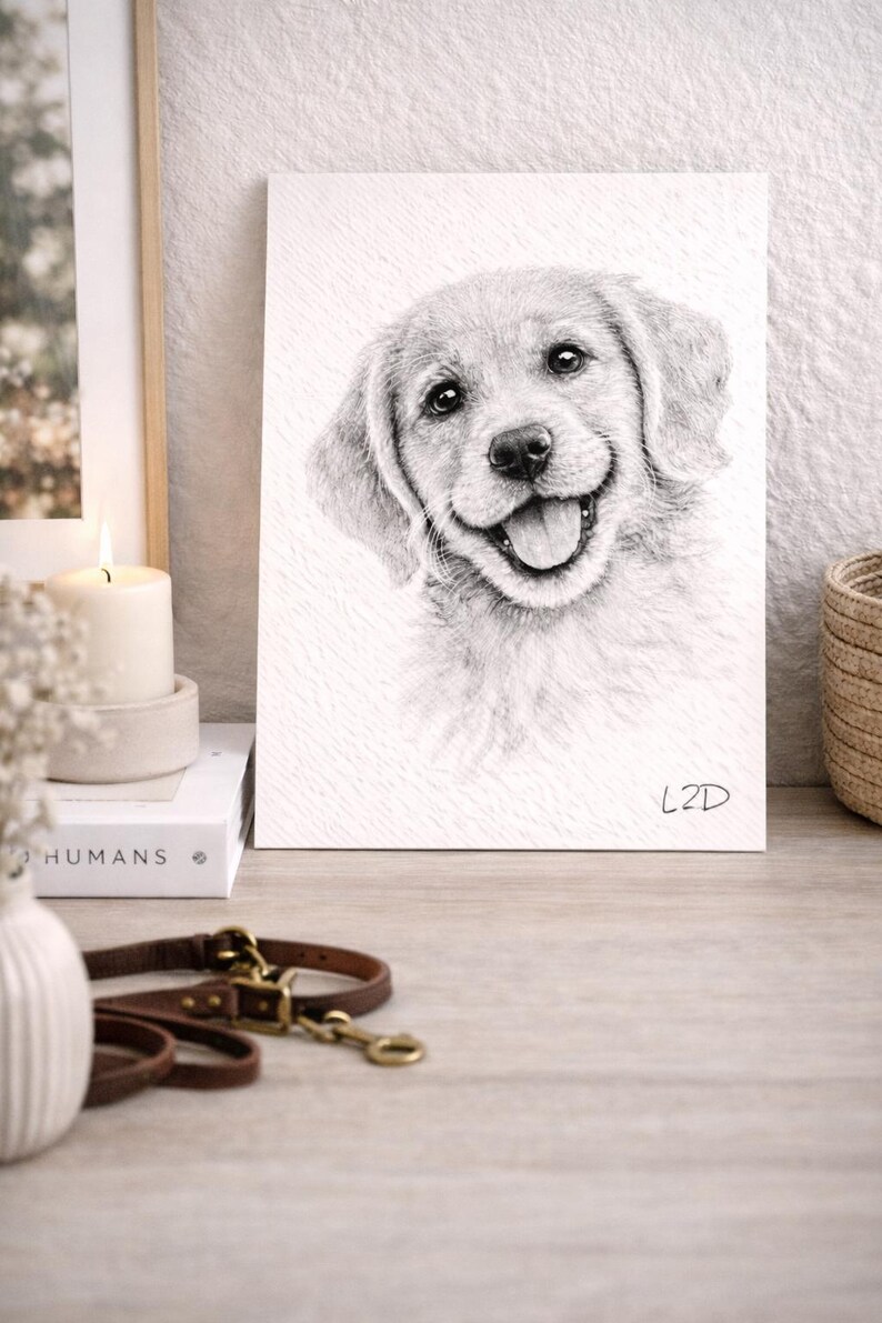 Labrador Puppy Art Print Hand Drawn Dog Illustration Black And White Labrador Puppy Art Print Hand Drawn Dog Illustration Black And White