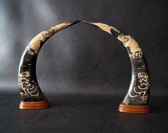 decorative horns with Asian carved pictures, Long Horns Buffalo carved with dragon, Asian home décor 1960s