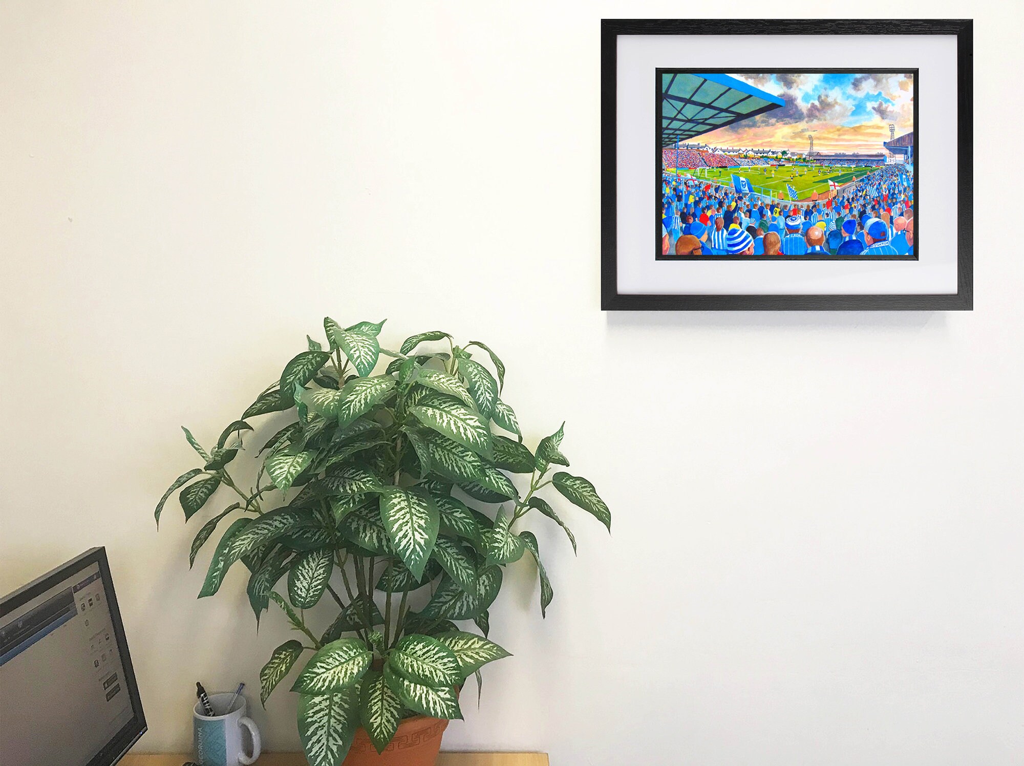 Brighton & Hove Albion Football Club - Goldstone Ground Stadium