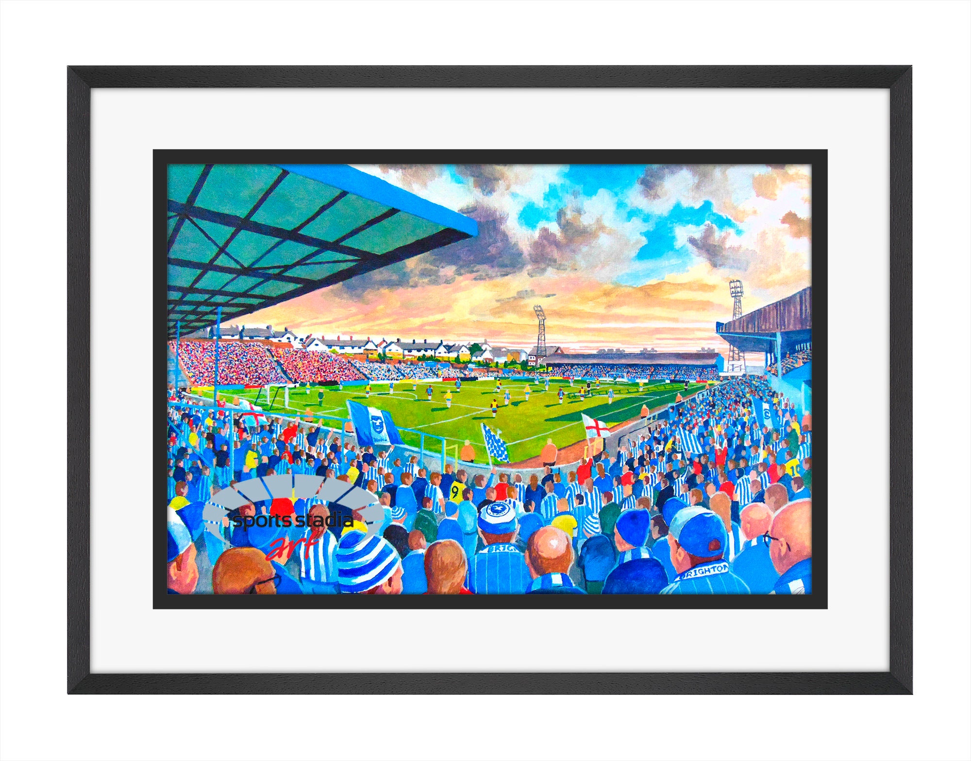 Brighton & Hove Albion Football Club - Goldstone Ground Stadium