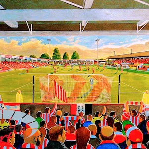 Cheltenham Town Football Club - Whaddon Road Stadium Art Print