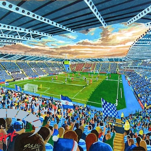 Madejski Stadium Fine Art Jigsaw Puzzle - Reading Football Club