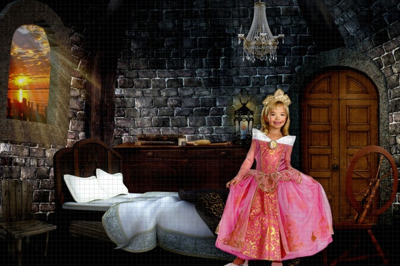 Sleeping Beauty Castle Bedroom Digital Backdrop Background Photography