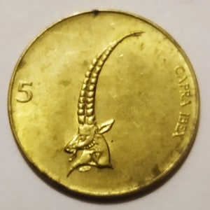 Slovenian Coin