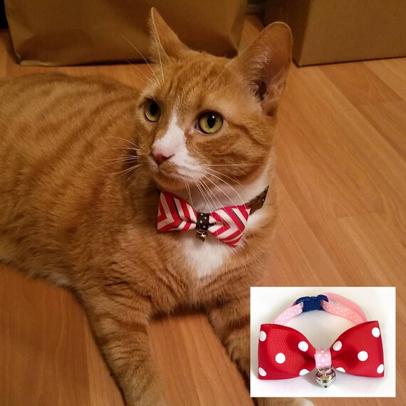Cute Red Polka Dot Bow Tie Collar For Cats And Dogs Etsy