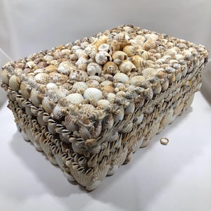 Sea Shell Encrusted DECORATIVE STORAGE BOX 16&quot; x 11&quot;~ Hand Crafted Embellished Keepsake Container ~Coastal Beach Natural Boho Interior Decor