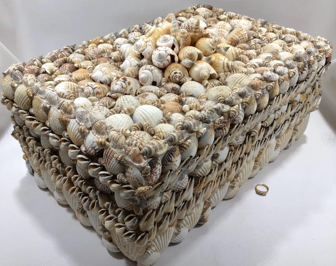 Large Shell Shape Container Sea Shell Encrusted DECORATIVE STORAGE BOX 16