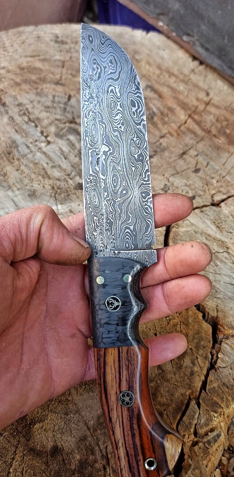 REAL DAMASCUS Hunting Knife Cocobolo Wood Handle 250 Layers Etsy