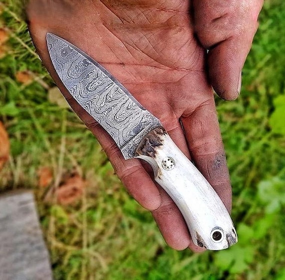 本物のダマスカス鋼製小型ナイフ - 鹿角ハンドル - 150層構造 - EDC 