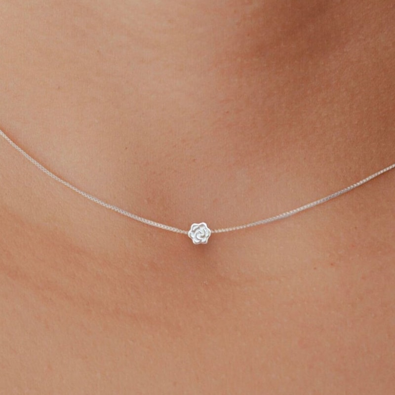 Francis Dainty Necklace - Silver main image 0