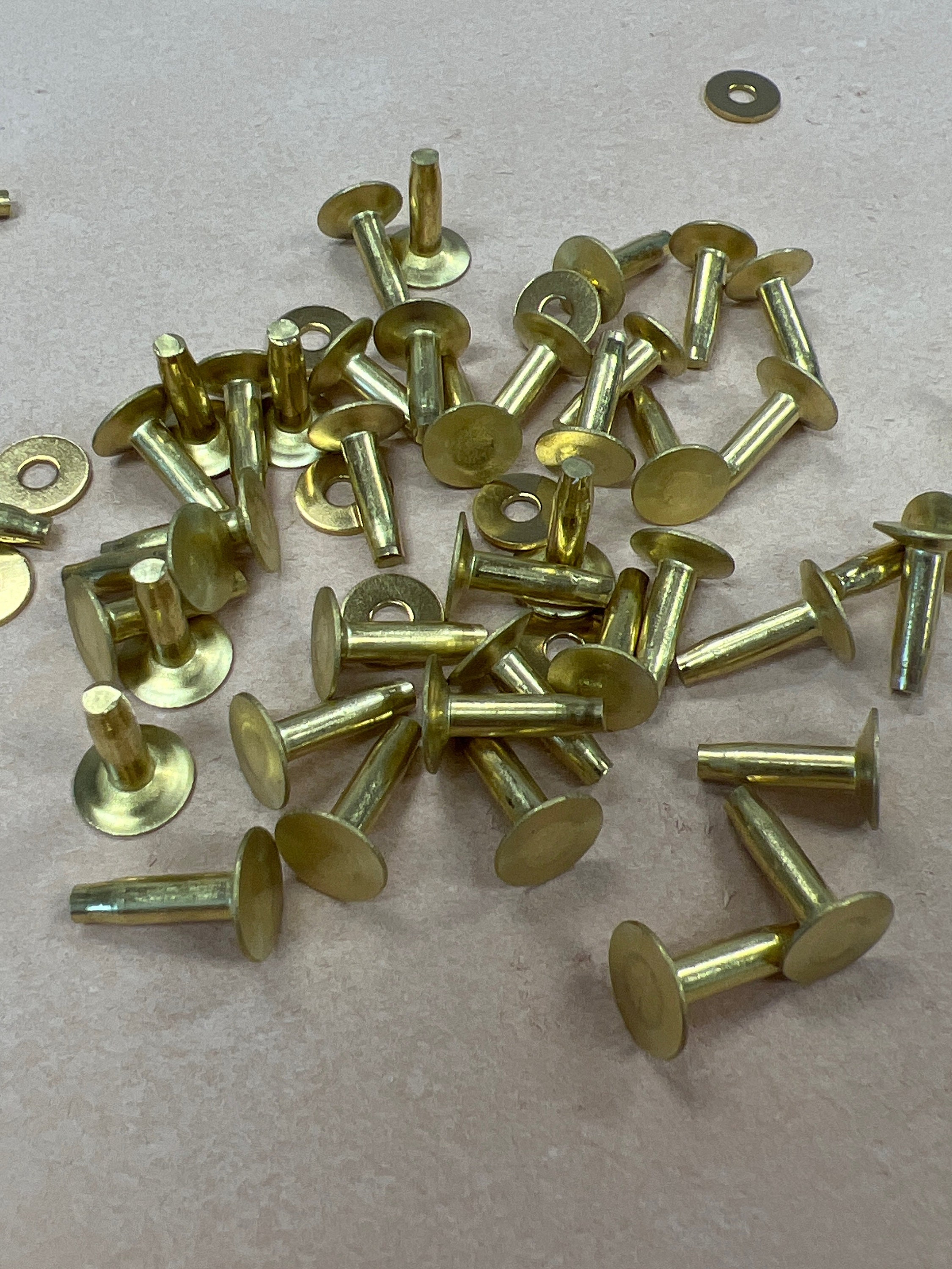 Brass Rivets and Burrs, Heavy Duty Fastener, 20 Sets - Etsy