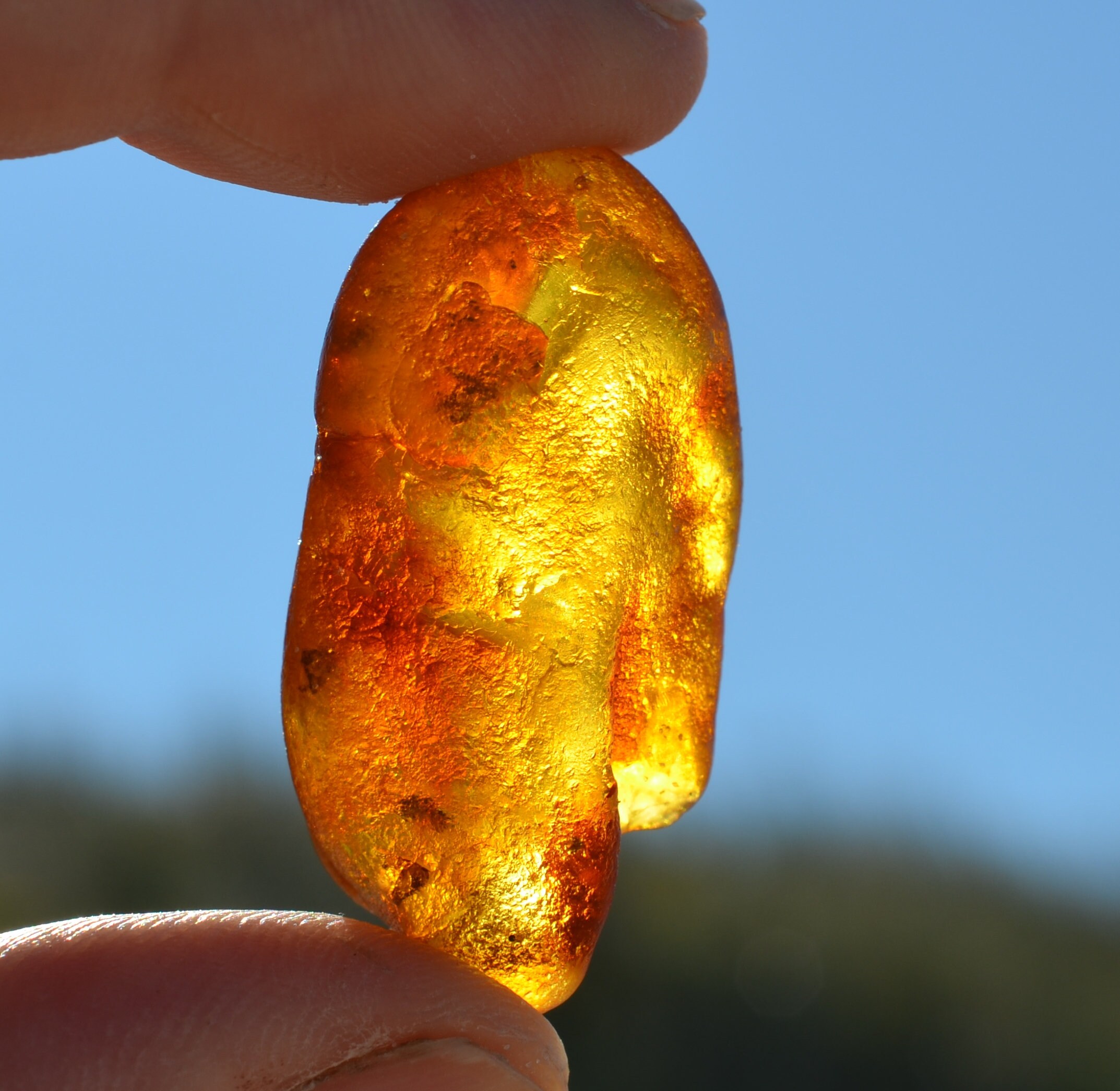 Baltic Amber Stone White/ Cognac/ Honey/ Clear Amber Nugget - Etsy