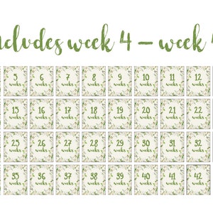 Printable Pregnancy Weeks, Weekly Pregnancy Photo Prop, Pregnancy Week ...