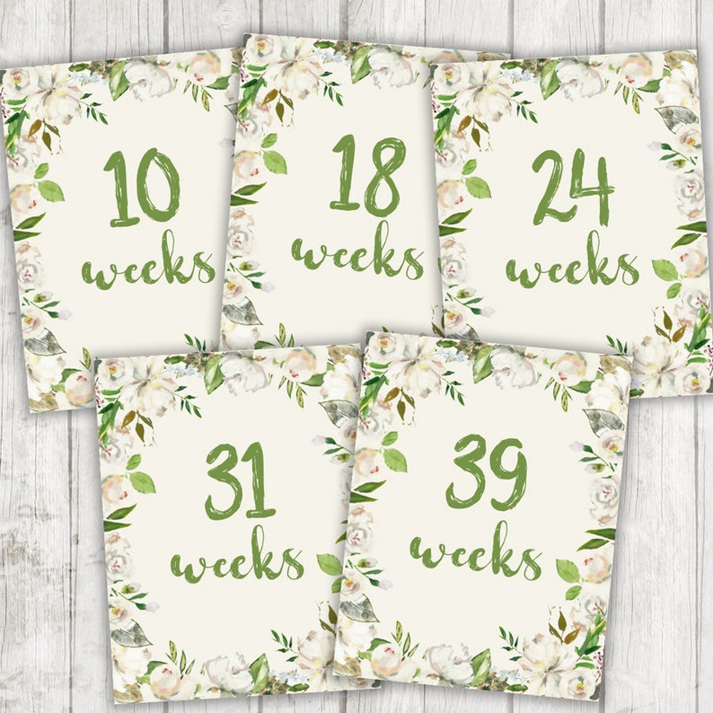 Printable Pregnancy Weeks, Weekly Pregnancy Photo Prop, Pregnancy Week ...