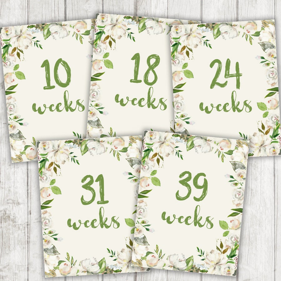 Free Pregnancy Weeks Printables