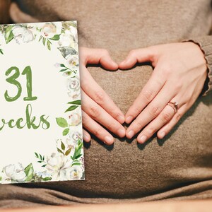 Printable Pregnancy Weeks, Weekly Pregnancy Photo Prop, Pregnancy Week ...