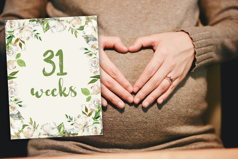 Printable Pregnancy Weeks, Weekly Pregnancy Photo Prop, Pregnancy Week ...