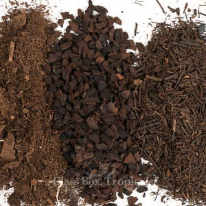 May include: Close-up of four different types of soil: wood chips, brown soil, dark brown bark chips, and black charcoal. The soil is arranged in a row on a white background.